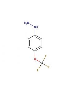 Astatech (4-(TRIFLUOROMETHOXY)PHENYL)HYDRAZINE; 0.25G; Purity 98%; MDL-MFCD02656471